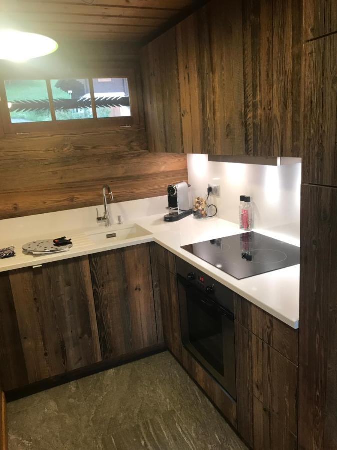 Chalet Les Marmottes Saint-Jean-de-Sixt Εξωτερικό φωτογραφία