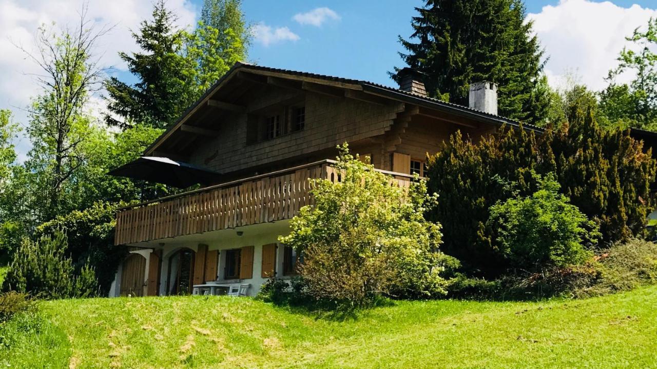 Chalet Les Marmottes Saint-Jean-de-Sixt Εξωτερικό φωτογραφία