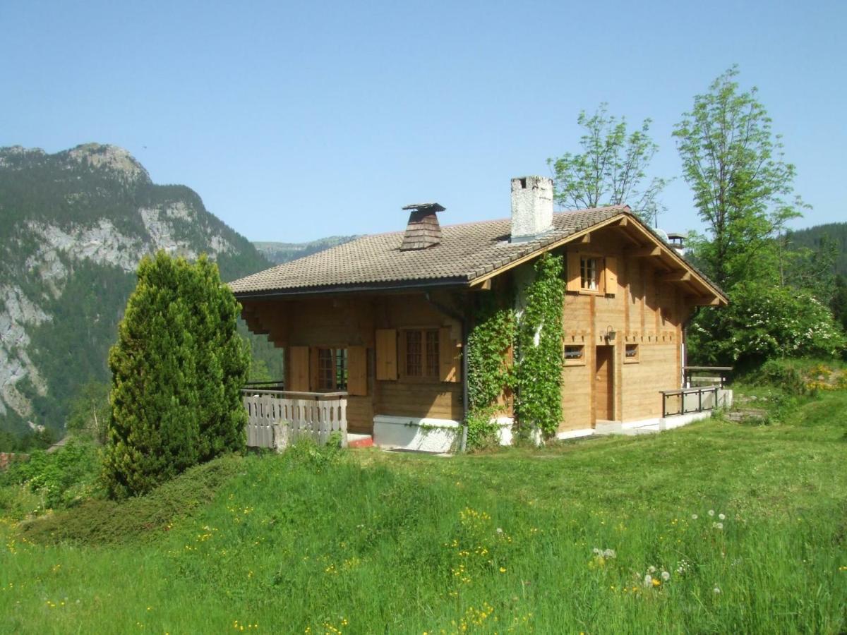 Chalet Les Marmottes Saint-Jean-de-Sixt Εξωτερικό φωτογραφία