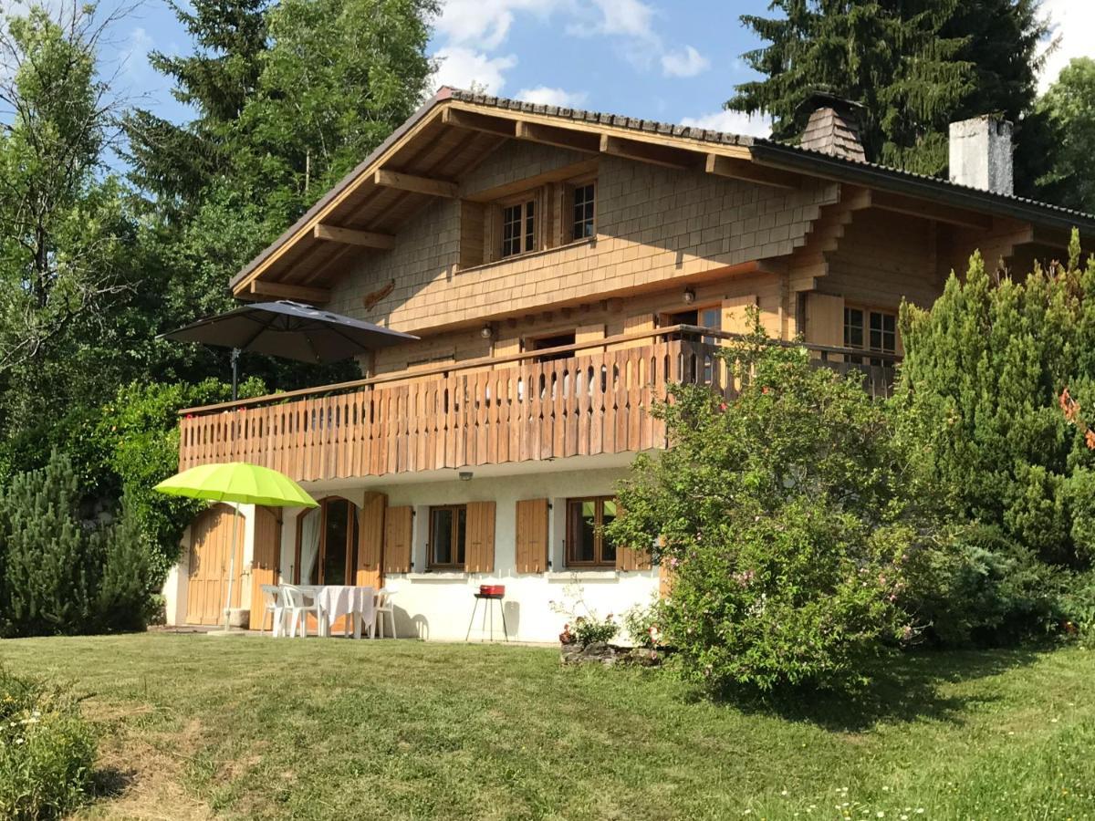 Chalet Les Marmottes Saint-Jean-de-Sixt Εξωτερικό φωτογραφία