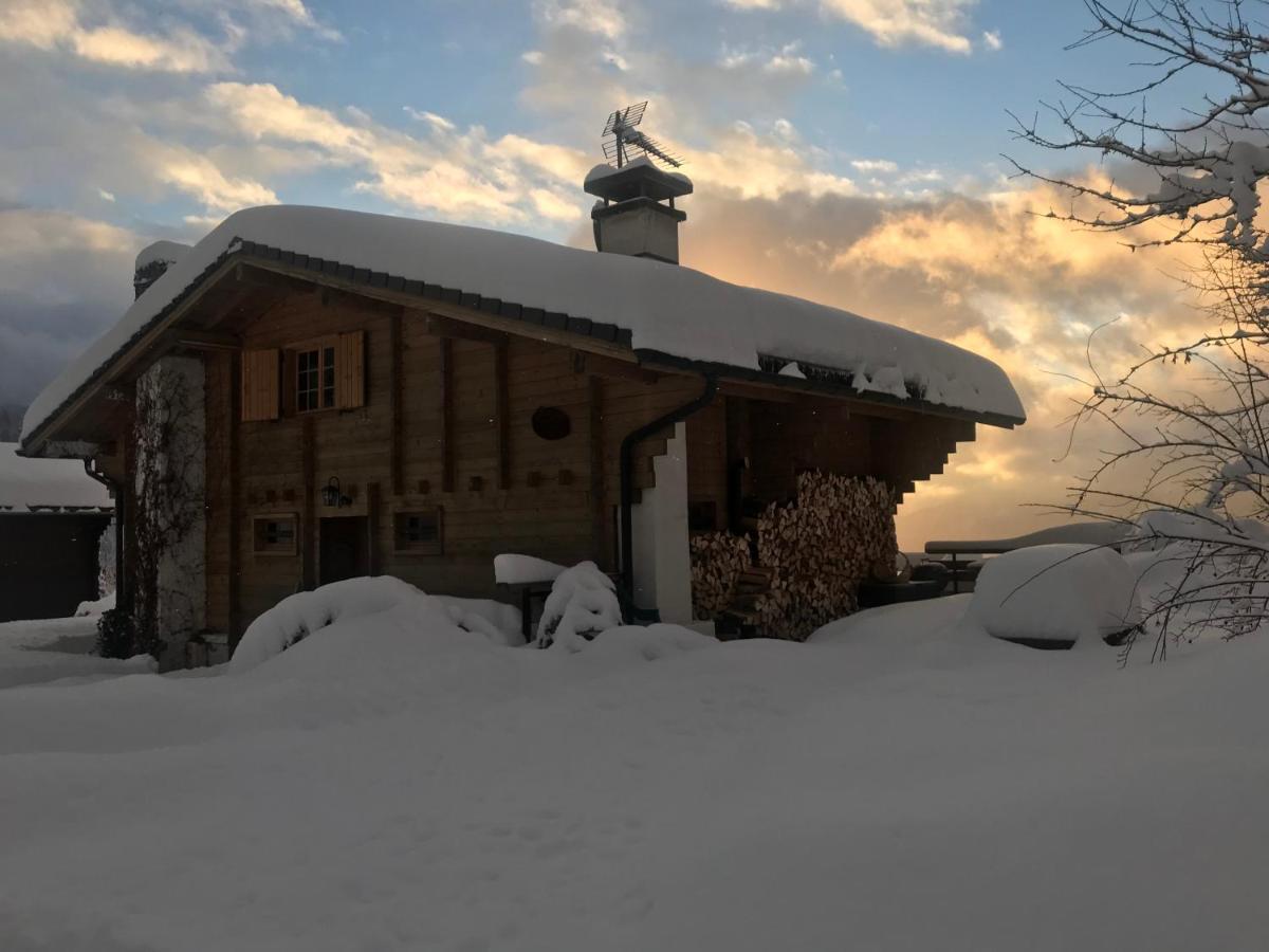 Chalet Les Marmottes Saint-Jean-de-Sixt Εξωτερικό φωτογραφία