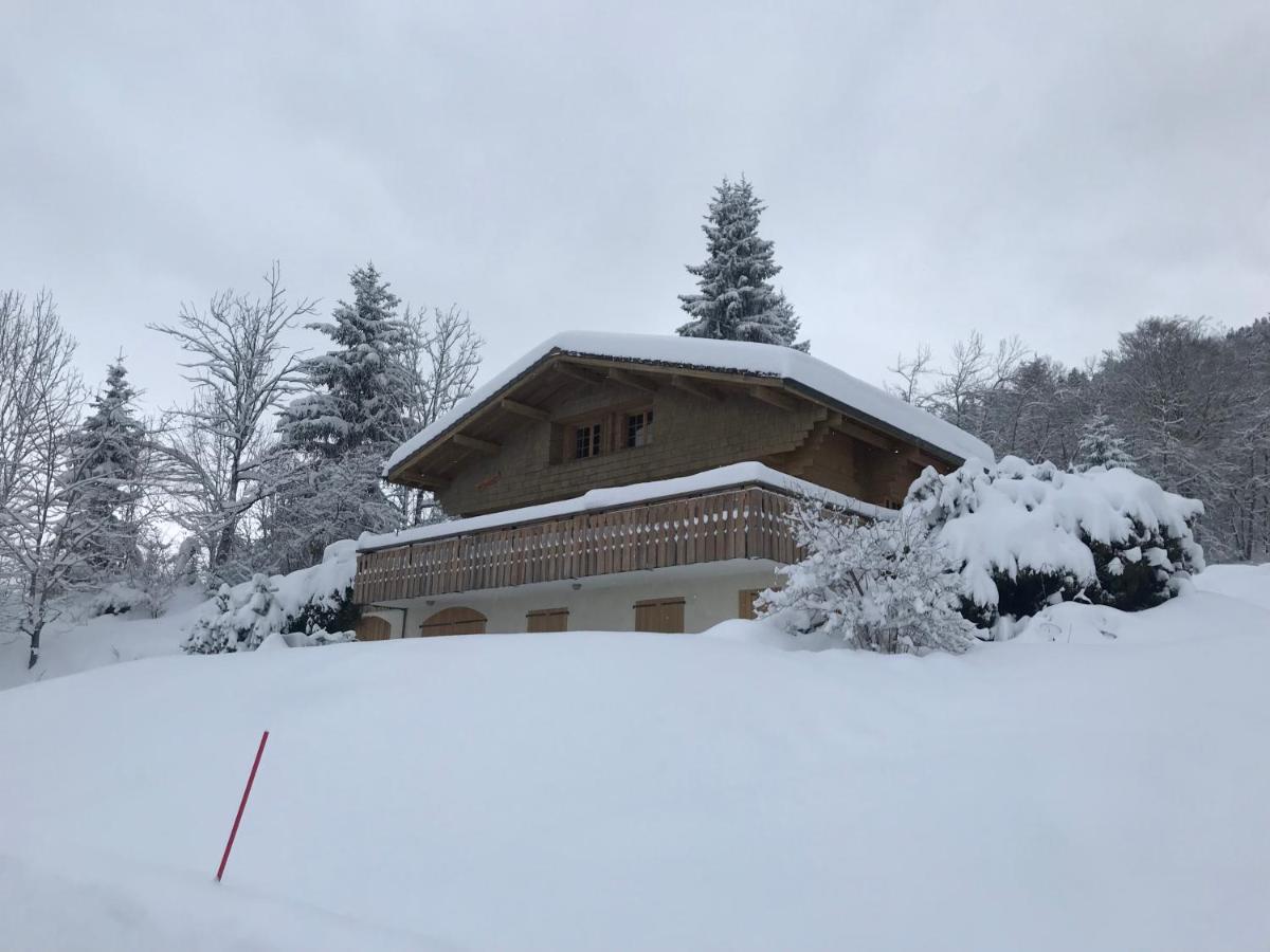 Chalet Les Marmottes Saint-Jean-de-Sixt Εξωτερικό φωτογραφία