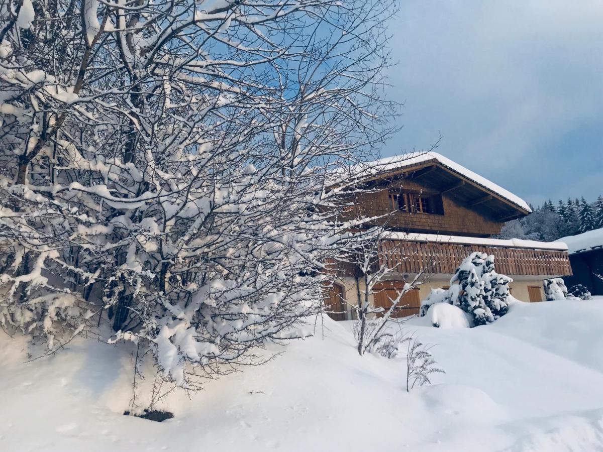 Chalet Les Marmottes Saint-Jean-de-Sixt Εξωτερικό φωτογραφία