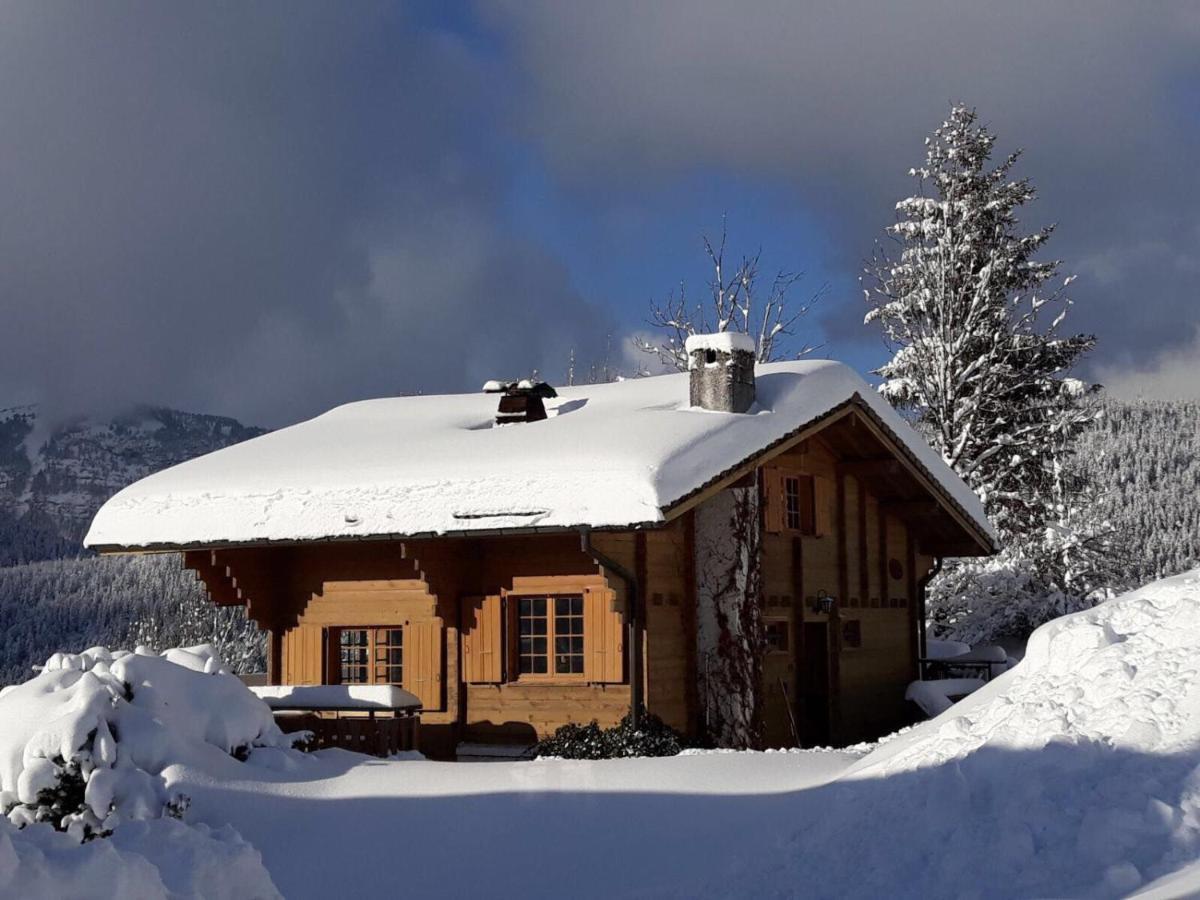 Chalet Les Marmottes Saint-Jean-de-Sixt Εξωτερικό φωτογραφία